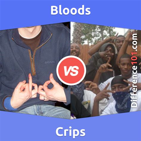 blood vs crip meaning